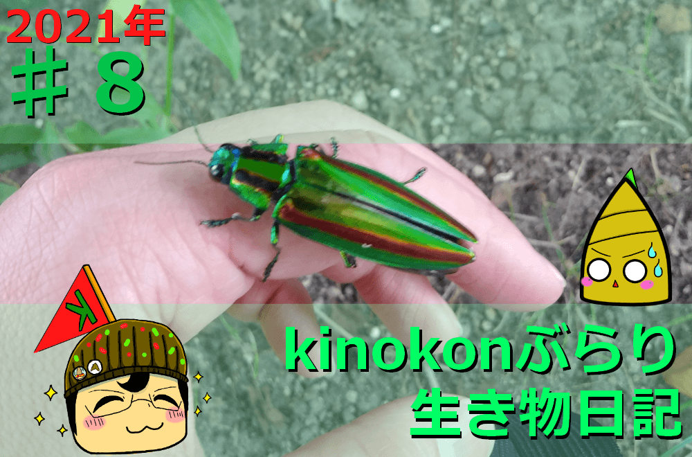 Thumbnail of post image 049